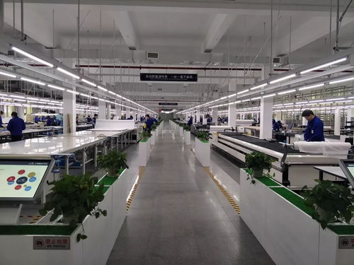 數字化轉型第三彈 培育 互聯網 新模式新業態
