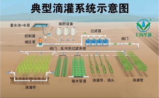 現(xiàn)代水肥一體化 滴灌 技術分享